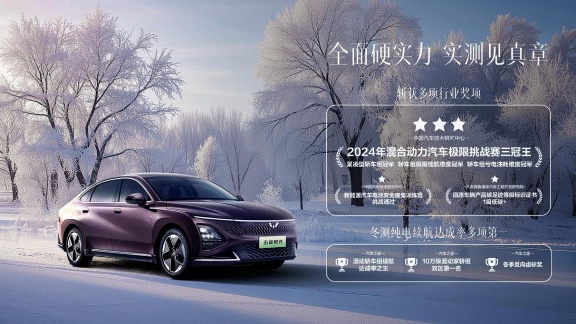 銷量見信賴,品質(zhì)鑄口碑!五菱星光家族累計(jì)銷量突破11萬輛!