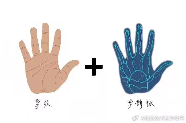 微信:刷掌支付采用“掌紋+掌靜脈”雙重識別技術,假手不行