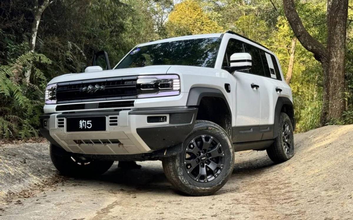 上半年最暢銷10款方盒子車型:長城占4席,奇瑞成最大“黑馬”?