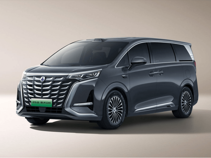 2025年度中國新能源汽車爆款榜(上半年)30萬以上級